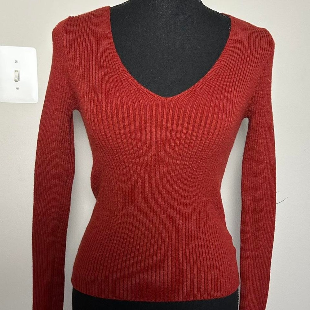Forever 21 burnt orange long sleeve V-neck sweater. Front and back V size small